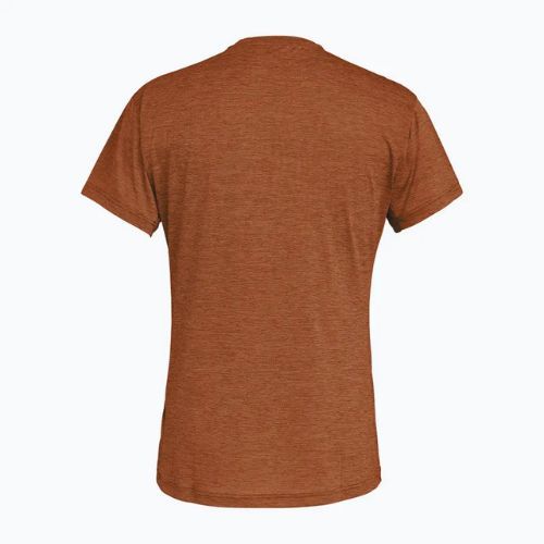 Herren Salewa Puez Melange Dry t-shirt bombay braun melange