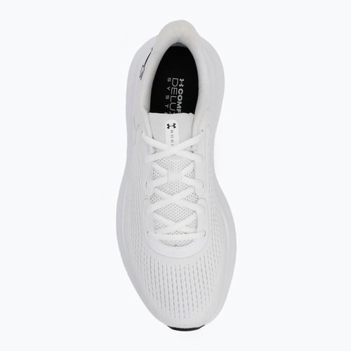 Laufschuhe Herren Under Armour Charged Rogue 5 white/white/black