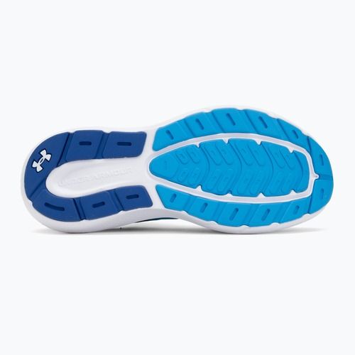 Laufschuhe Herren Under Armour Charged Rogue 5 electric blue/royal/white