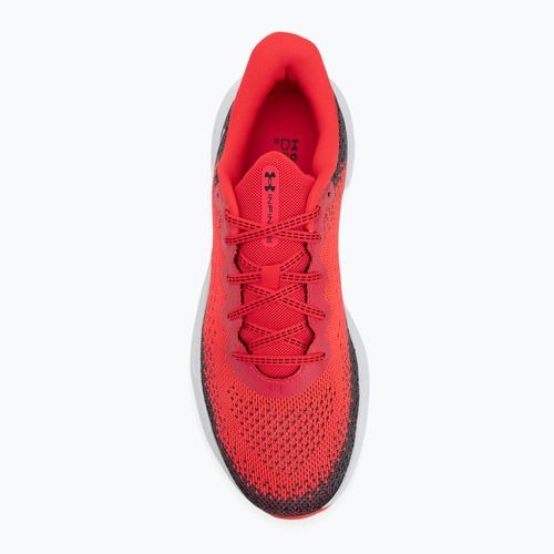 Laufschuhe Herren Under Armour Infinite racer red/castlerock/white