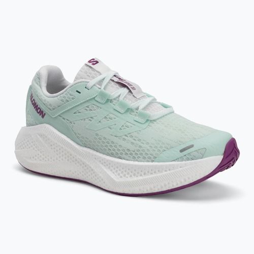 Laufschuhe Damen Salomon Aero Glide 3 bay/white/wilowherb