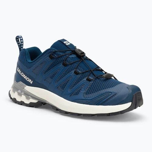 Laufschuhe Herren Salomon XA Pro 3D V9 poseidon/icicle/alloy