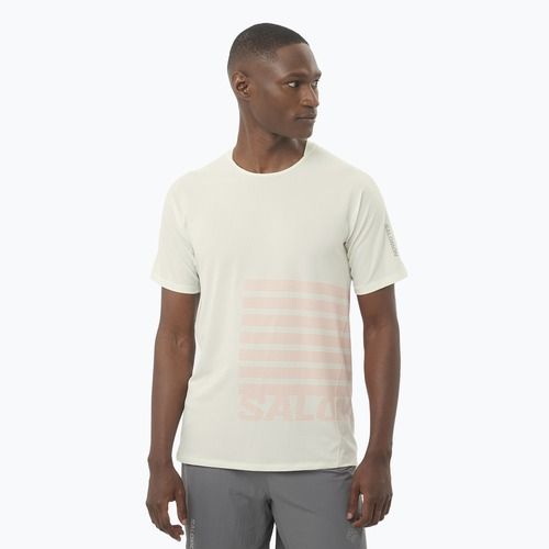 Laufshirt Herren Salomon Sense Aero Tee GFX icicle/neon flame