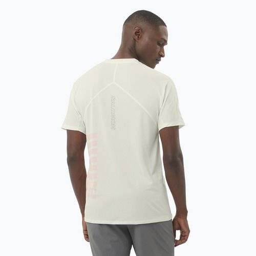 Laufshirt Herren Salomon Sense Aero Tee GFX icicle/neon flame