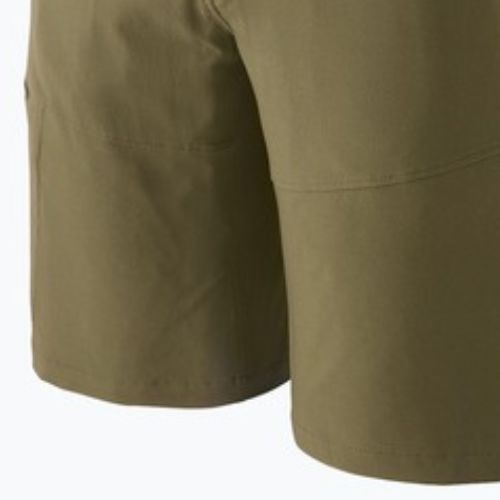 Patagonia Herren Terravia Trail 10" Zelt grün Shorts