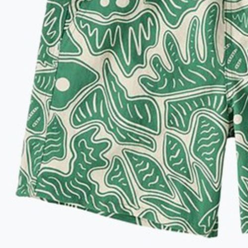 Patagonia Baggies Damen Shorts 5" Bienen und Blumen/Heartleaf grün