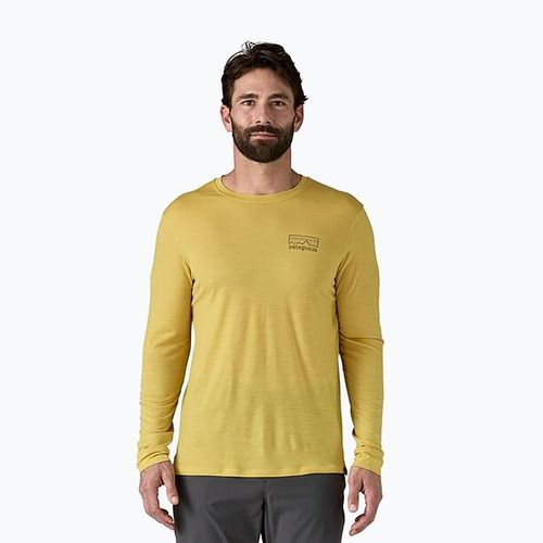 Herren Patagonia Cap Cool Merino Blend Longsleeve Grafik fitz roy strata/bündel grün