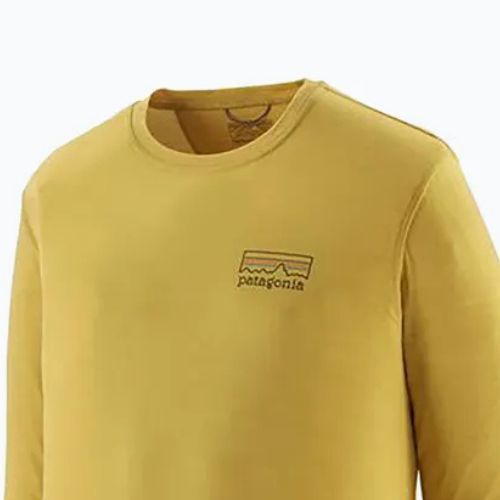 Herren Patagonia Cap Cool Merino Blend Longsleeve Grafik fitz roy strata/bündel grün