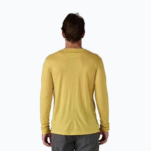 Herren Patagonia Cap Cool Merino Blend Longsleeve Grafik fitz roy strata/bündel grün