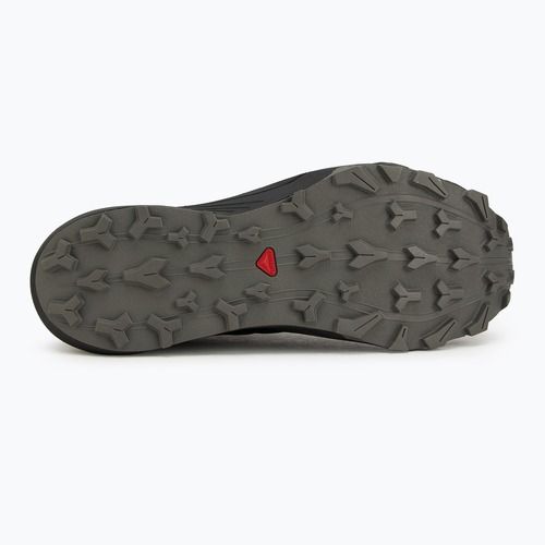 Laufschuhe Herren Salomon Thundercross GTX black/pewter