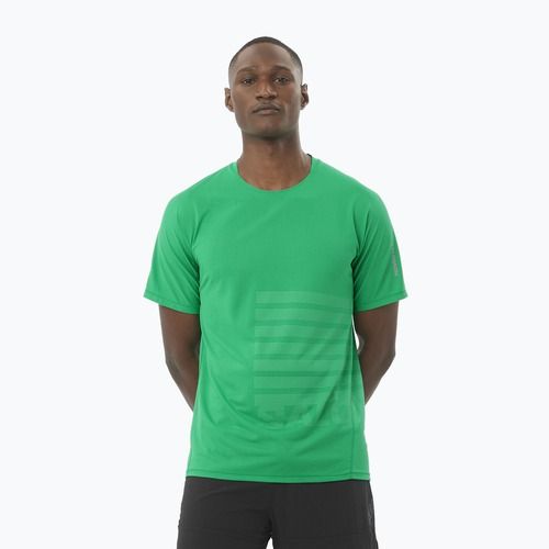Laufshirt Herren Salomon Sense Aero Tee GFX Paarakeet / spearmintme