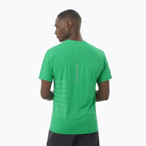 Laufshirt Herren Salomon Sense Aero Tee GFX Paarakeet / spearmintme