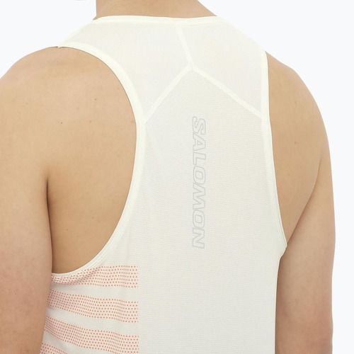 Lauf Tank Top Herren Salomon Sense Aero Singlet GFX icicle