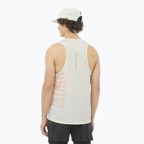 Lauf Tank Top Herren Salomon Sense Aero Singlet GFX icicle