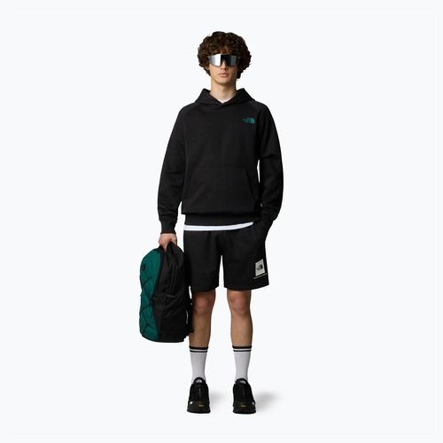 Trekking Shorts Herren The North Face Box Nse Regular tnf black/tnf white