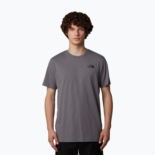 Shirt Herren The North Face Redbox Celebration smoked pearl