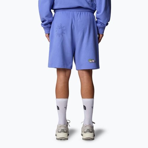 The North Face Mountain Cleanup Entspannt virtuelle blaue Shorts