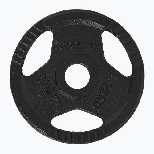 XTREXO Gusseisen Gewicht TRX-ICP001 1,25 kg Chrom