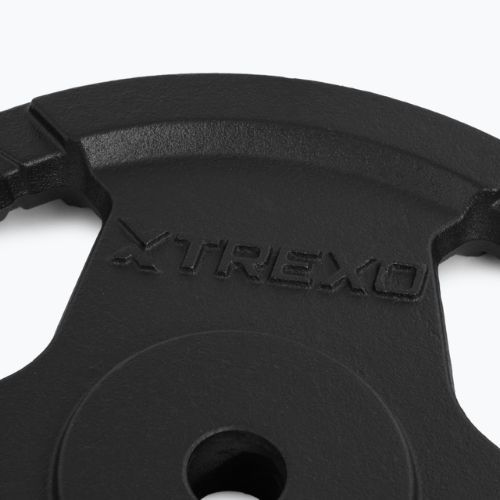 XTREXO Gusseisen Gewicht TRX-ICP015 15 kg Chrom