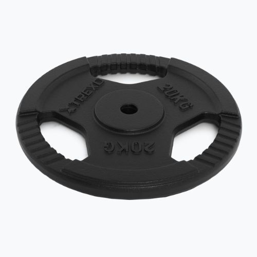 XTREXO Gusseisen Gewicht TRX-ICP020 20 kg Chrom