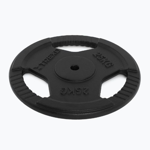 XTREXO Gusseisen Gewicht TRX-ICP025 25 kg Chrom