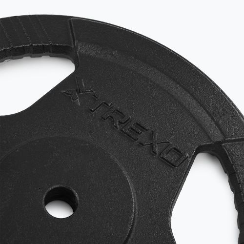 XTREXO Gusseisen Gewicht TRX-ICP025 25 kg Chrom