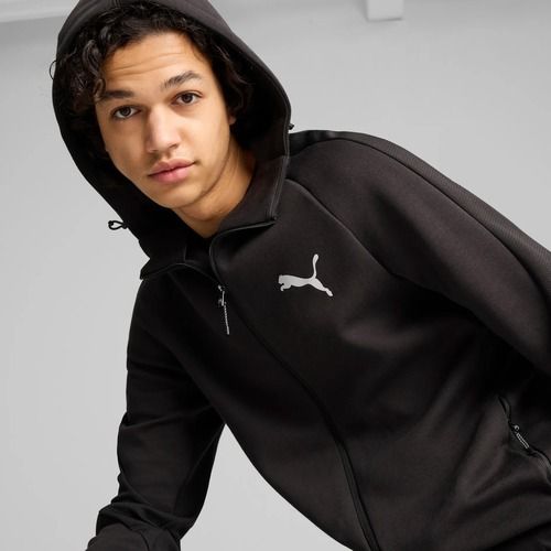 Herren Sweatshirt PUMA Evostripe Hoodie FZ DK puma schwarz