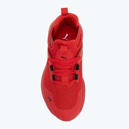 PUMA Enzo 2 Refresh AC PS hohes Risiko rot / puma schwarz Schuhe