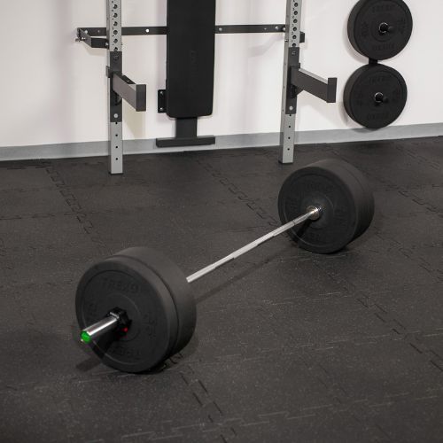 Olympischer Greif TREXO TX-OBB220 grau