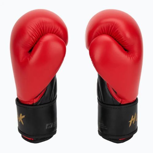 HOOK FIGHTING Ready To Train Boxhandschuhe rot