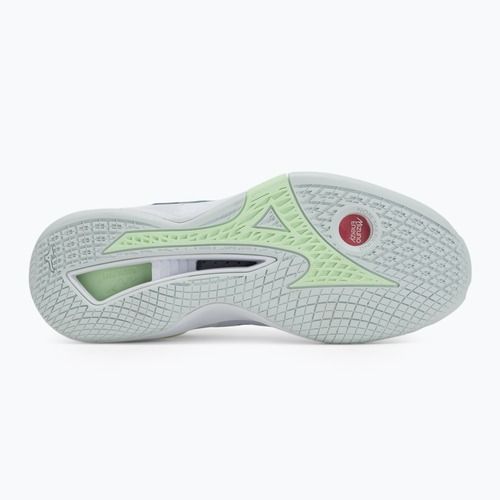 Damen-Handballschuhe Mizuno Wave Stealth Neo