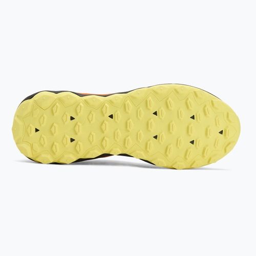 Herren Laufschuhe Mizuno Wave Ibuki 5 Traubenblatt/exotische Orange/Zitrone