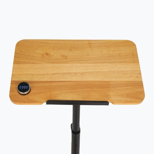 E-Bike XTREXO EB400-desk black