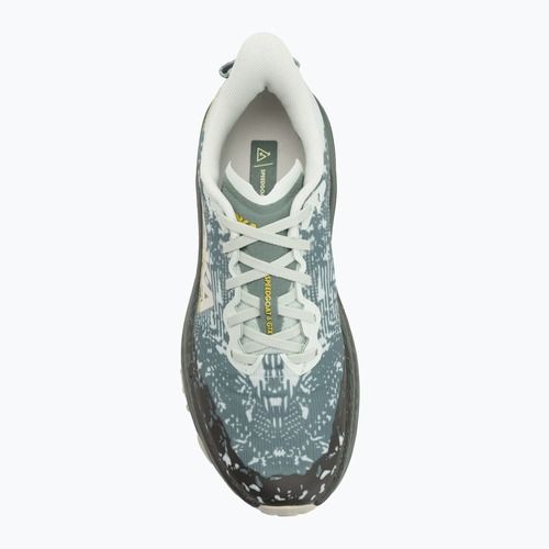 HOKA Speedgoat 6 GTX Herren Laufschuhe sea flass/fern