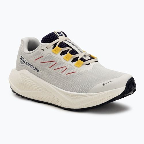 Damen-Laufschuhe Salomon Aero Blaze 3 Gravel GTX vanilla ice/astral aura/lemon