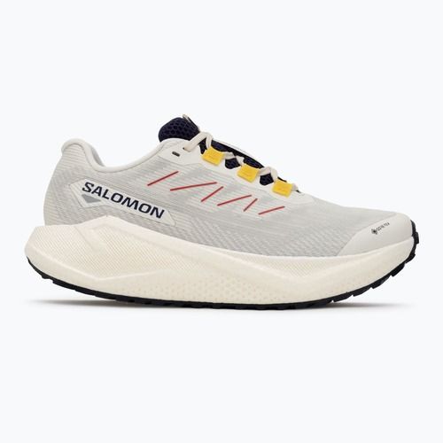 Damen-Laufschuhe Salomon Aero Blaze 3 Gravel GTX vanilla ice/astral aura/lemon