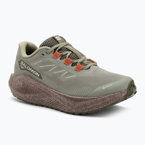 Herren-Laufschuhe Salomon Aero Blaze 3 Gravel GTX tea/iron/burnt ochre