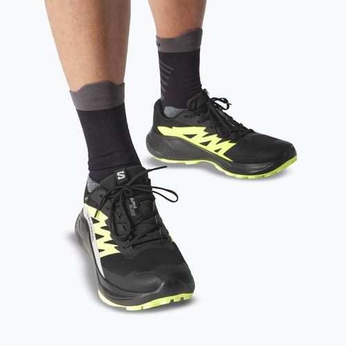 Herren-Laufschuhe Salomon Alphaglide GTX schwarz/legierung/scharfgrün