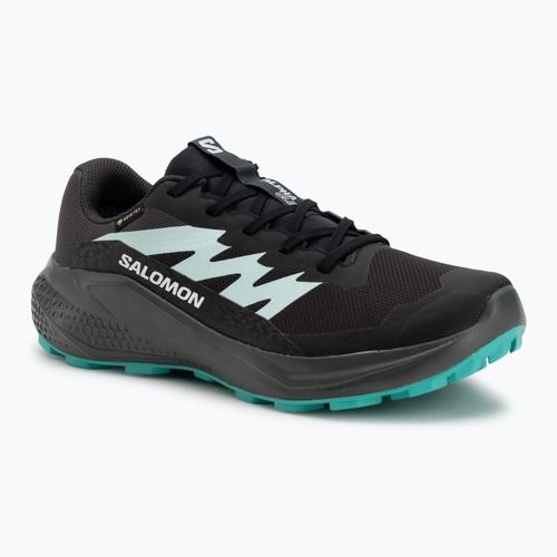 Damen-Laufschuhe Salomon Alphaglide GTX hantom/urban chic/waterfall