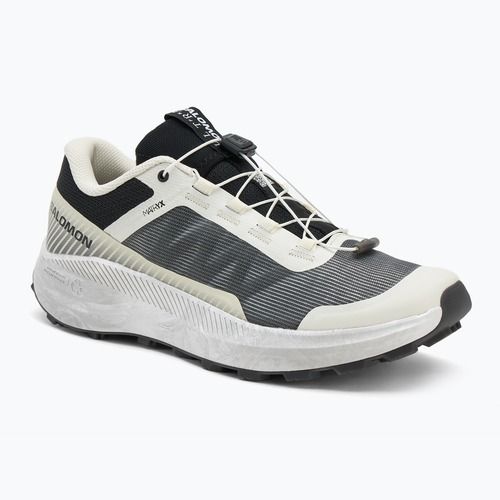 Salomon Vision Herren Laufschuhe vanille ice/lunar/rock/schwarz