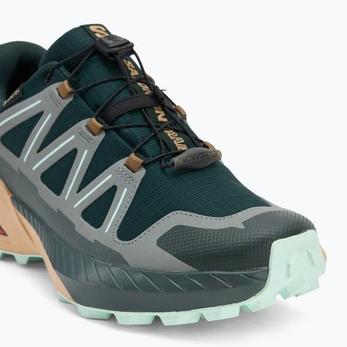 Damen Laufschuhe Salomon Speedcross Peak GTX scarab/soft clay/bay