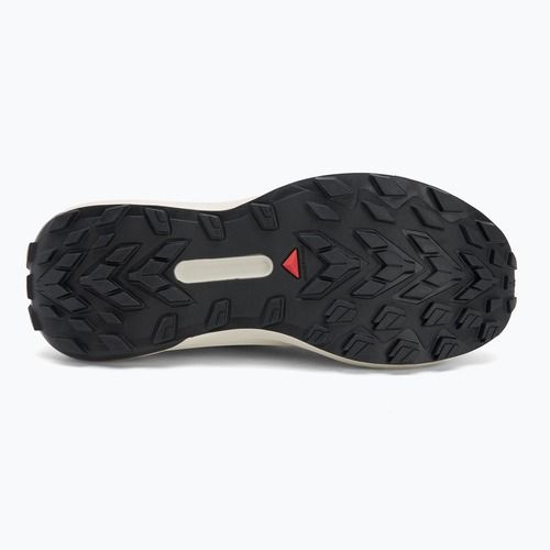 Herren-Laufschuhe Salomon Genesis GTX schwarz/lunar rock/french blue