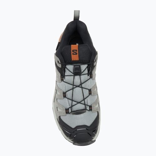 Herren-Trekkingschuhe Salomon X Ultra 360 Leather GTX Schmiedeeisen / Sedona Sage / Sierra