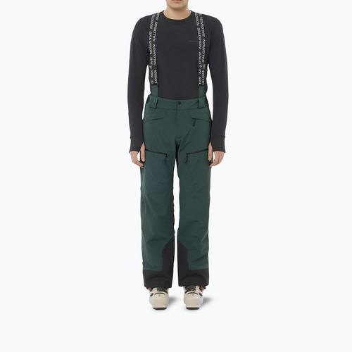 Herren-Skihose Salomon Spectral Green Gables