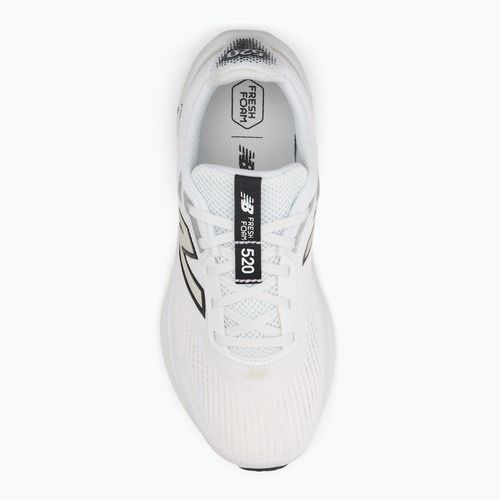 Damen-Laufschuhe New Balance Fresh Foam 520's V9 Wintergras