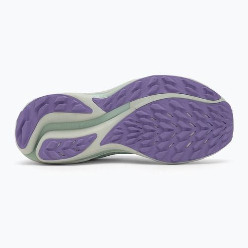 Damen-Laufschuhe Mizuno Wave Rider TT 2 bay/hint of mint/paisley purple