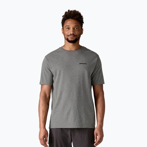 Patagonia Herren Fitz Roy Icon Responsibili-Tee kiesiges Heidekraut T-shirt