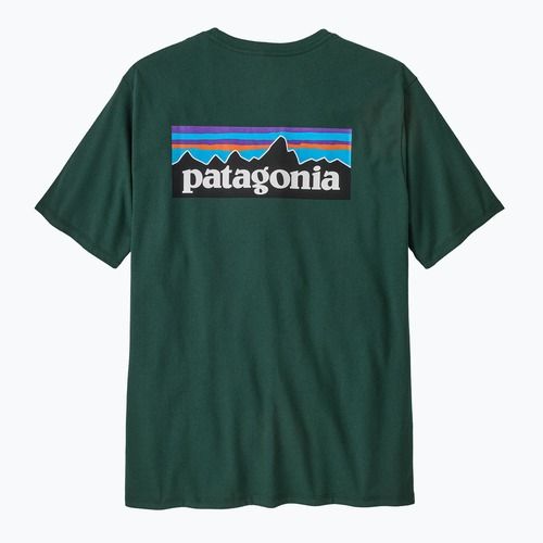 Herren Patagonia P-6 Logo Responsibili-Tee kaskadengrünes Hemd