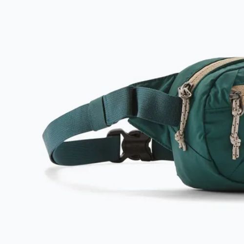 Patagonia Terravia Mini Hip Kaskade grün Nierentasche