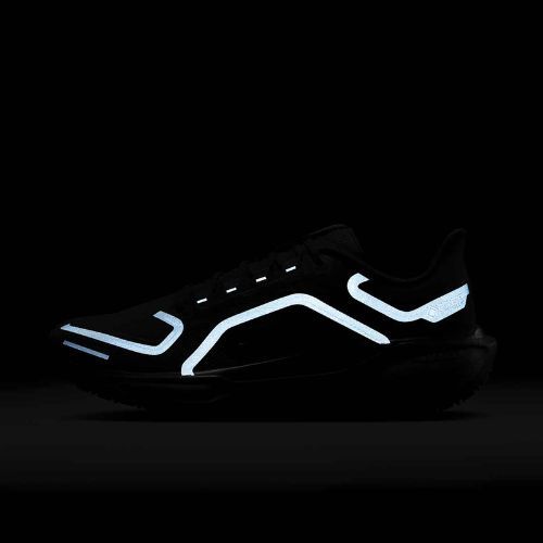 Herren-Laufschuhe Nike Pegasus 41 GTX black/anthracite/black